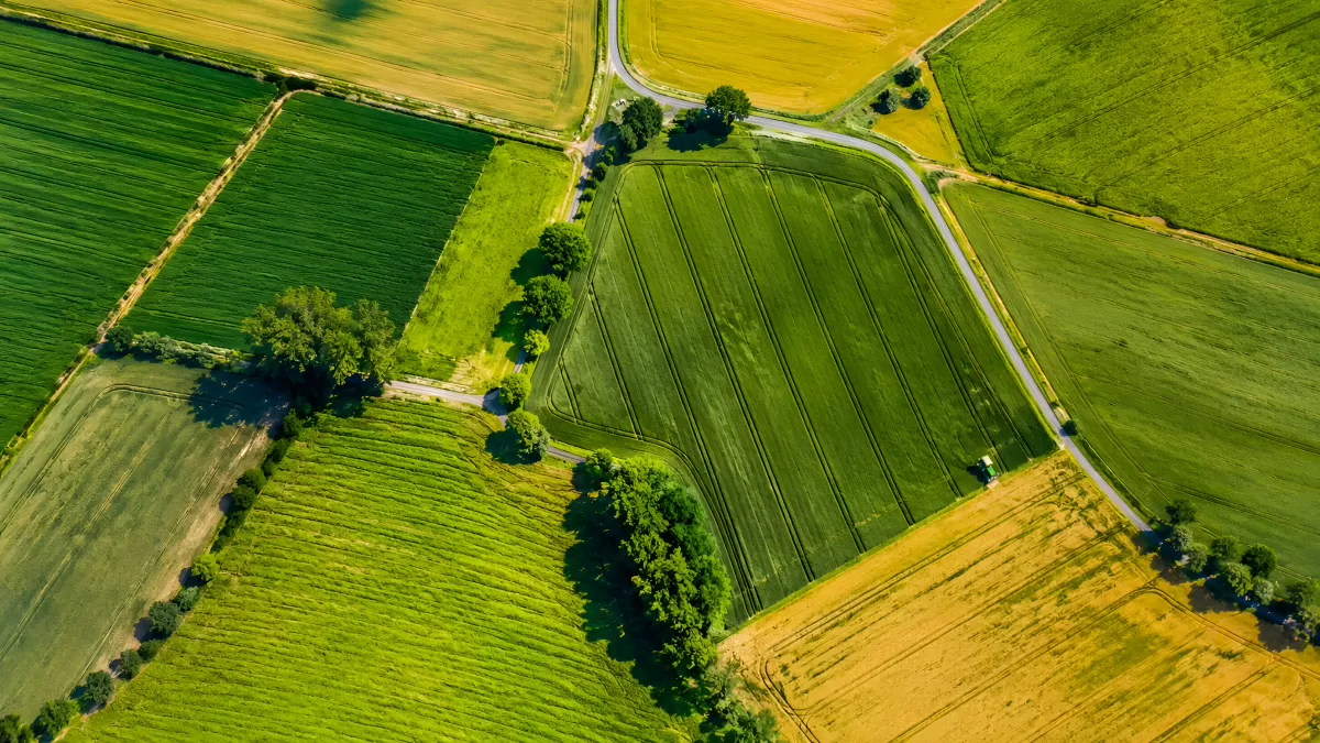 Luftaufnahme grüner Felder und Landstraßen im Sommer