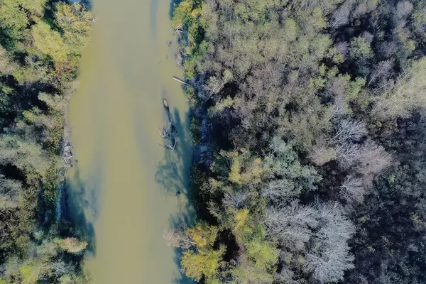 Luftaufnahme vom Fluss Arges in Rumänien mit Bäumen auf beiden Seiten