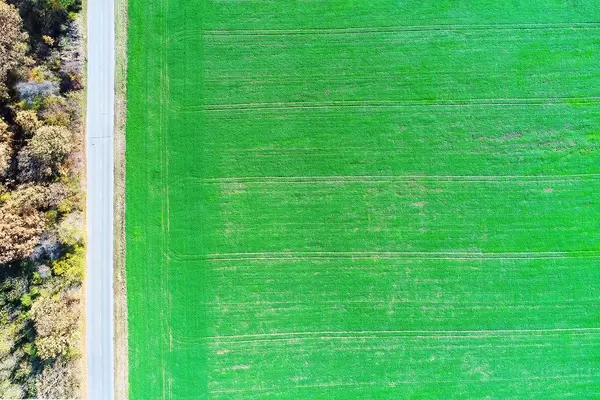 Luftaufnahme von einer Straße mitten in der Natur