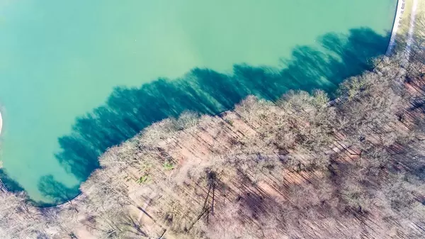Luftbild: Bäume, Schatten und Gewässer von oben