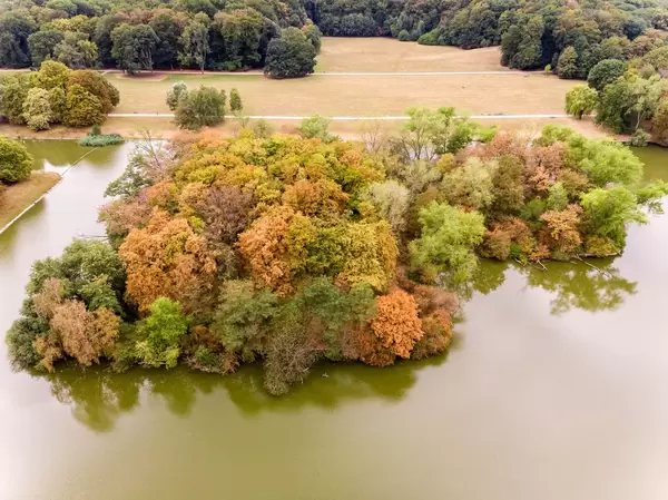 Luftbild: Decksteiner Weiher. Bunte Blätter wie im Herbst nach der Trockenheit