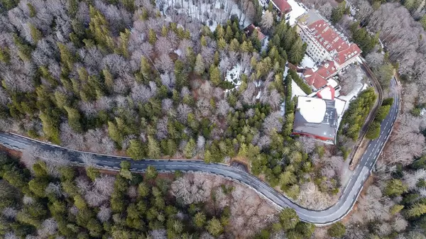 Luftbild einer ländlichen Waldstraße in den Südvogesen