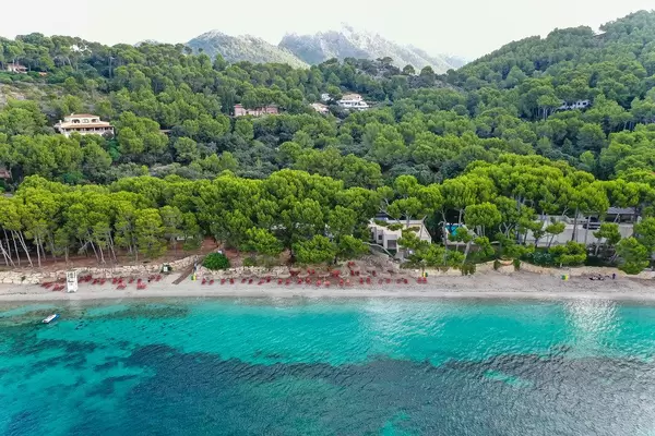 Luftbild: Platja de Formentor auf Mallorca. Strand mit kristallklarem Meer und mallorquinischen Kiefern