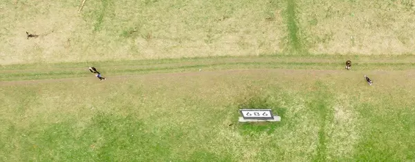 Luftbild: Rhein KM 686