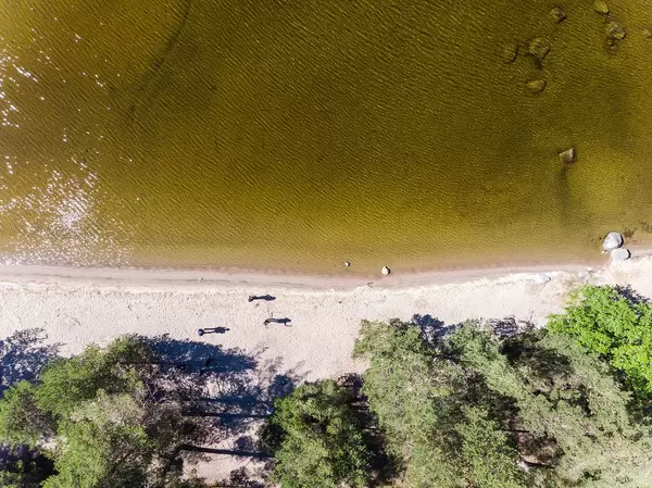 Luftbild vom Sandstrand der Insel Kelvenne mit gelblichem Wasser des Päijännesee in Finnland