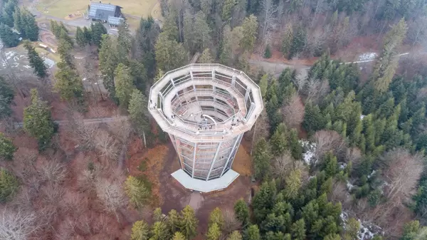 Luftbildaufnahme vom Baumwipfelpfad Bad Wildbad / Schwarzwald