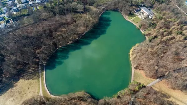 Luftbildaufnahme vom See Adenauer Weiher in Köln