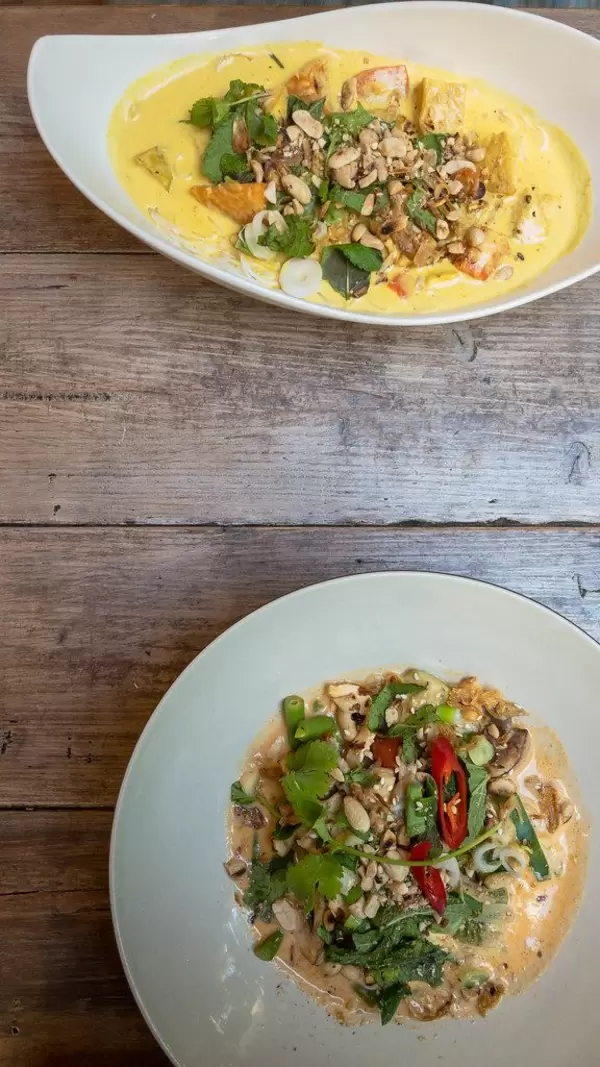 Lunch at a Vietnamese Restaurant in Cologne with "Pho Sot Can", consisting of biotofu, coconut curry sauce, oyster mushrooms and ribbon noodles