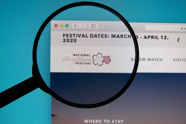Lupe über dem Logo der Internetseite des nationalen Cherry Blossom Festivals