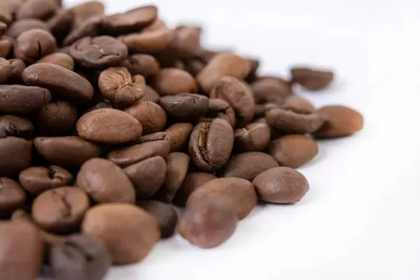 Macro fo Raw Coffee Beans (Flip 2019)