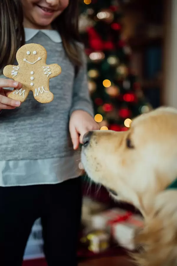 Mädchen mit weihnachtlichem Lebkuchen steht vor Hund