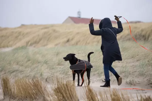 Mädchen und ihr schwarzer Labrador beim Gassigehen
