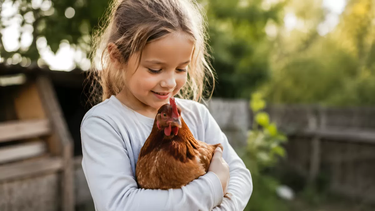 Mädchen hält braunes Huhn liebevoll im Arm