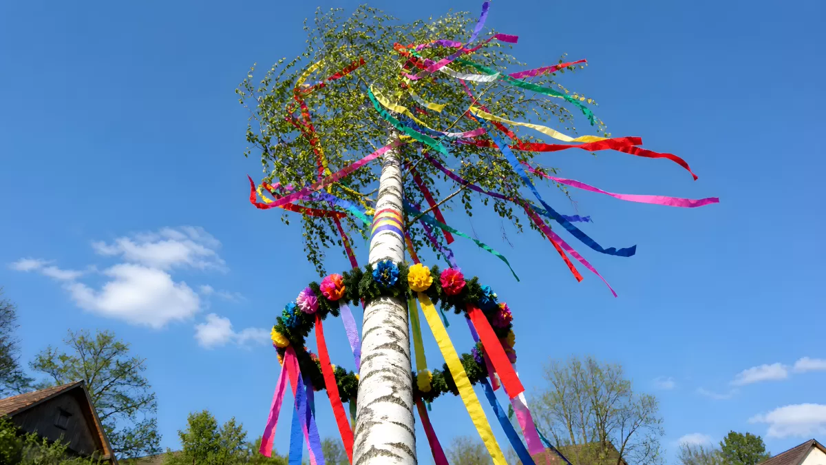 Maibaum mit bunten Bändern vor blauem Himmel