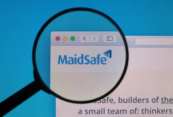 MaidSafe logo under magnifying glass