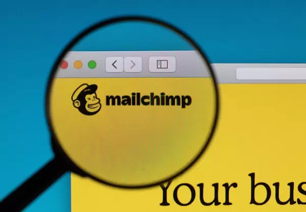 Mailchimp logo under magnifying glass