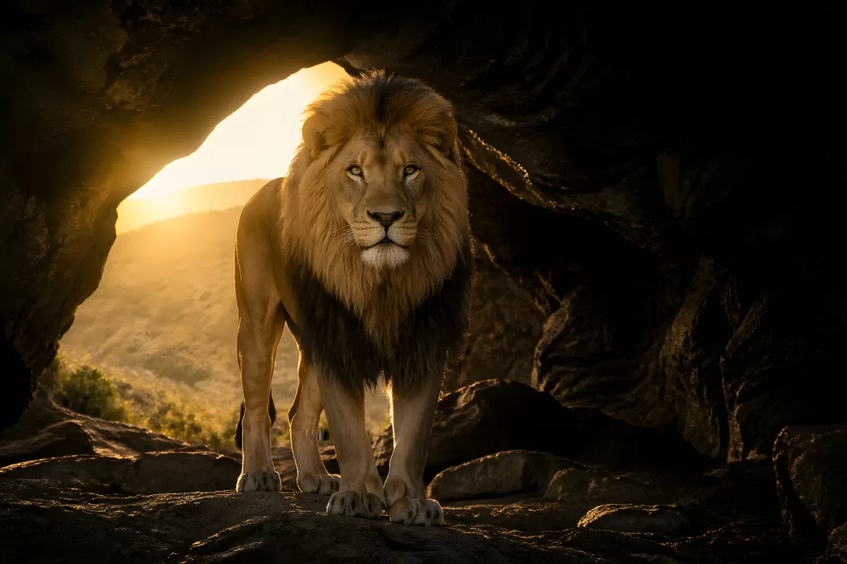 Majestätischer Löwe tritt aus einer Felshöhle ins Licht