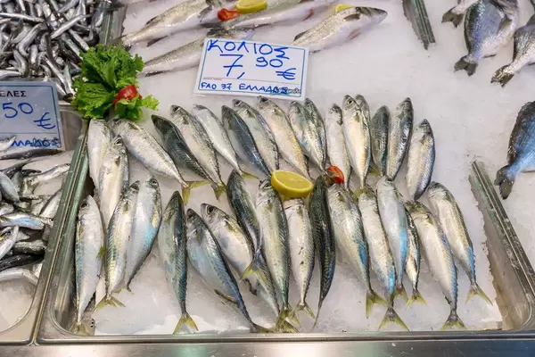 Makrelen auf Eis in einem Fischgeschäft am Kapani Markt in Thessaloniki