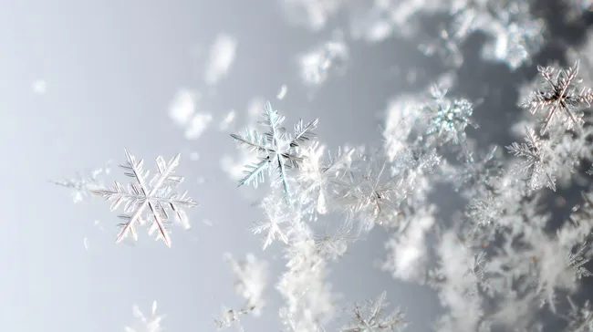 Makroaufnahme funkelnder Schneeflocken