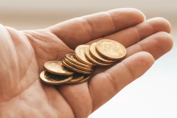 Male hand with coins, close-up
