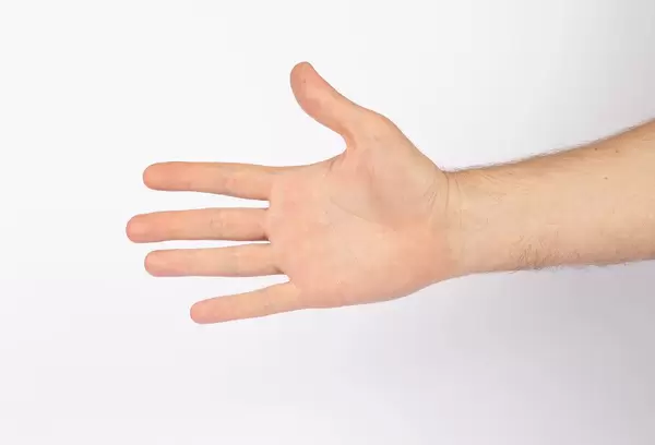 Man hand isolated on white (Flip 2019)