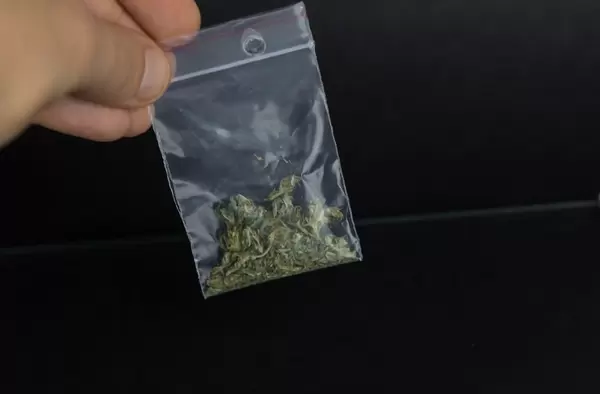 Man holding pack of marijuana