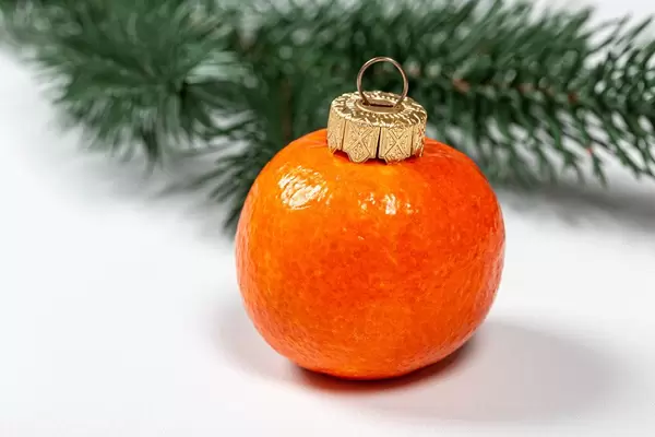 Mandarinförmiger Weihnachstbaumschmuck mit Tannenzweigen im Nahaufnahme