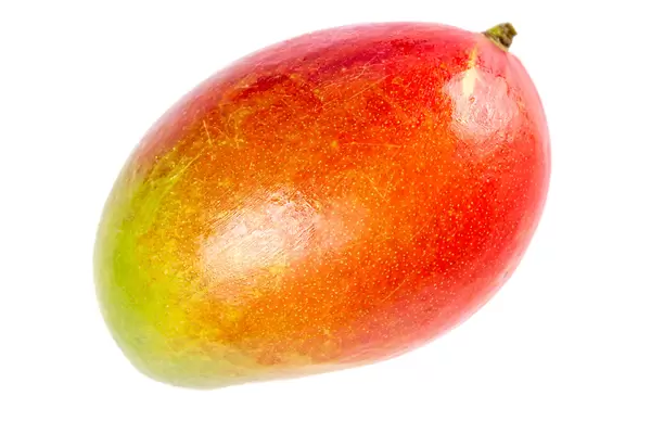 Mango fruit on white background