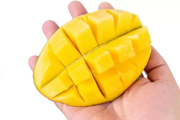 Mango Hedgehog in the hand (Flip 2019)