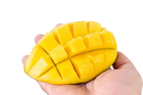 Mango Hedgehog in the hand isolated above white background (Flip 2019)