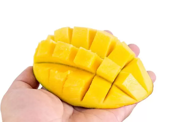 Mango Hedgehog in the hand isolated above white background