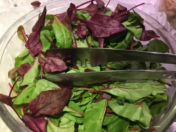 Mangold (Chard)