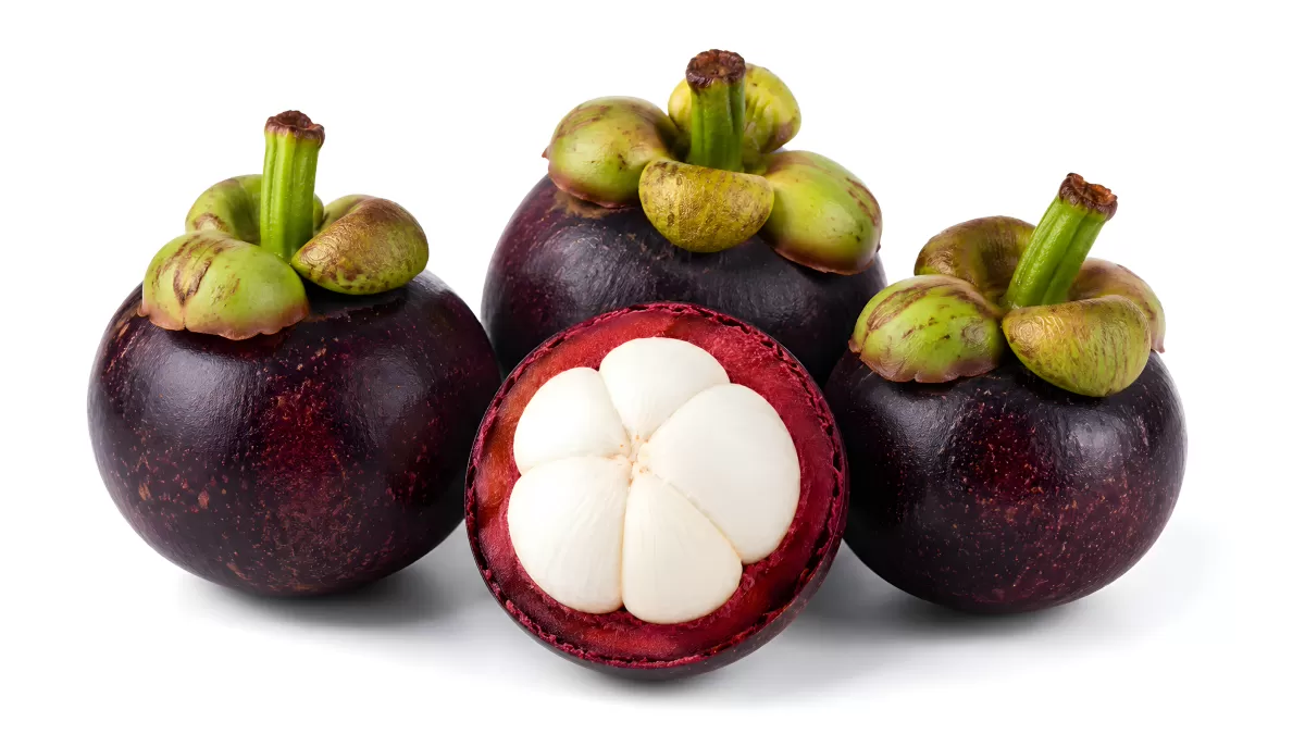 Mangostan Früchte ganz und aufgeschnitten