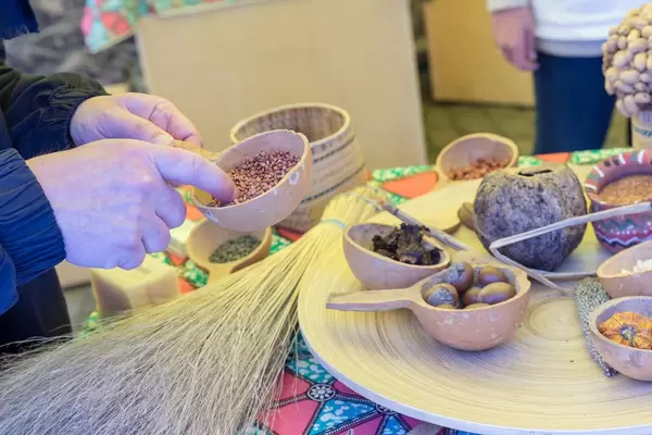 Mann begutachtet Pflanzensamen