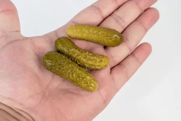 Mann hält kleine Essiggurken in der Hand, vor weißem Hintergrund