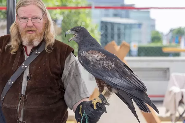 Mann mit einem Falken auf dem Arm