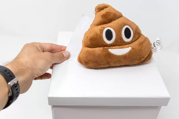 Mann wirft einen Stimmzettel zur Wahlabgabe in eine Wahlurne, auf der ein Kothaufen-Emojikissen sitzt