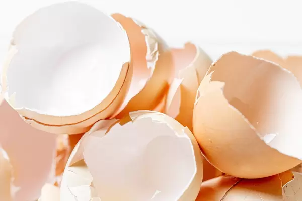 Many broken eggshell on white background