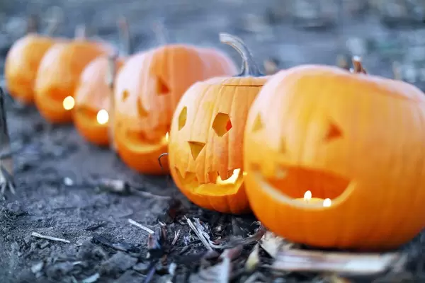 Many carved Halloween pumpkins in a row (Flip 2019)