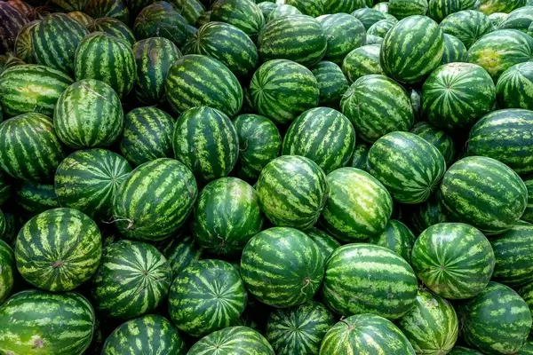 Many ripe watermelons in the marketplace (Flip 2019)