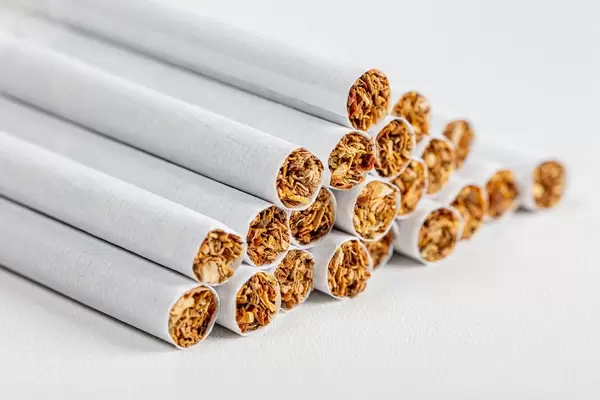 Many tobacco cigarettes on a white background