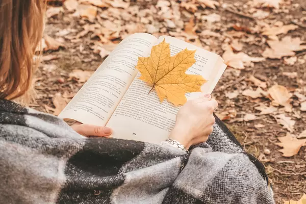 Maple yellow leaf on the book page