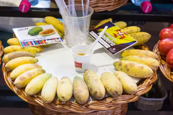 Maracja Bananen auf dem Mercado dos Lavradores in Funchal