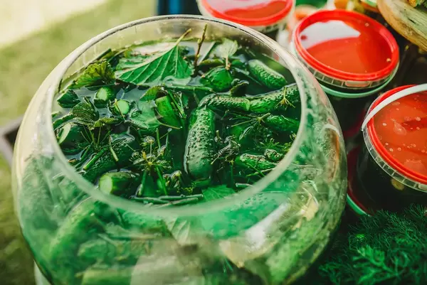 Marinated Pickled Cucumber On Glass Bottle (Flip 2019)