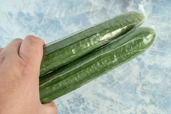 Market packed Cucumber in the hand above blue background