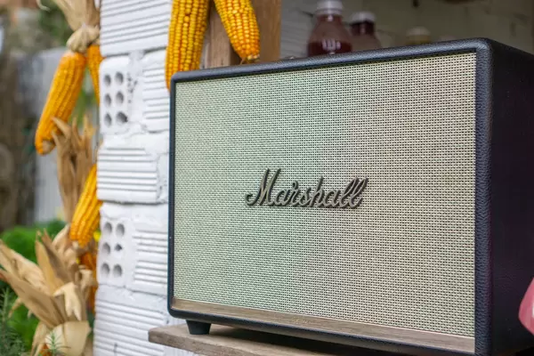 Marshall Loudspeaker with Corn on the Cob in the Background