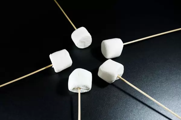 Marshmallows on sticks pointing to the center