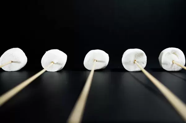 Marshmallows on wooden sticks