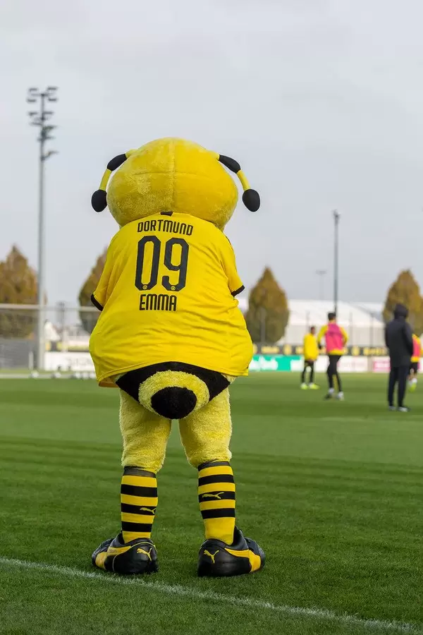 Maskottchen Emma des BVB beim öffentlichen Training