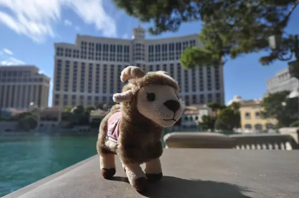 Maskottchen Geißbock Hennes des 1. FC Köln in Las Vegas